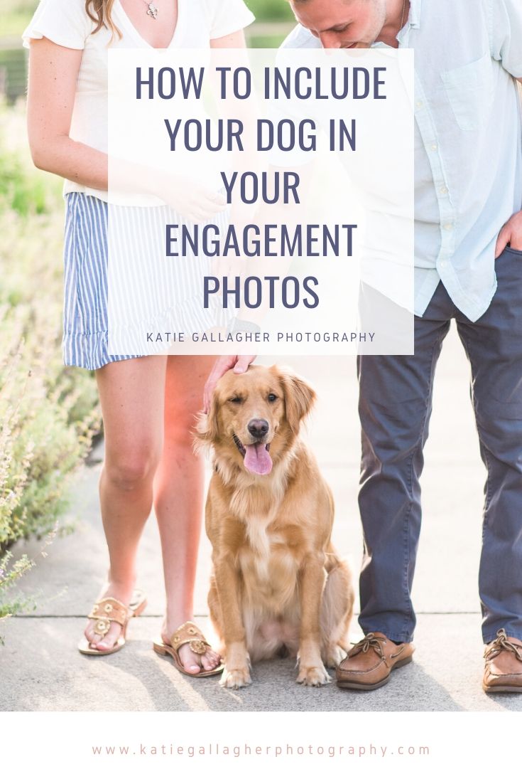 How to Include Your Dog in Engagement Photos