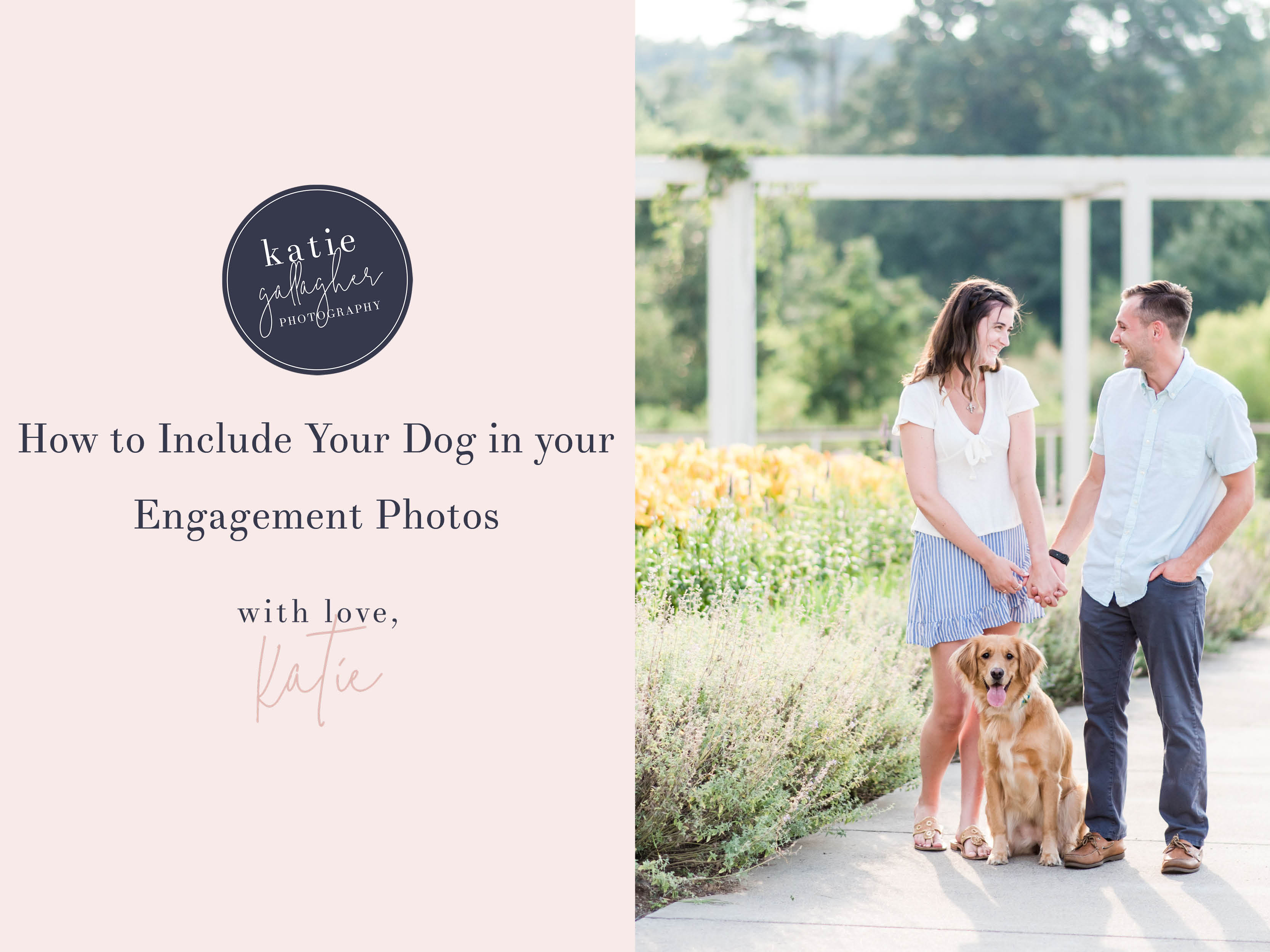 How to Include Dog Engagement Photos