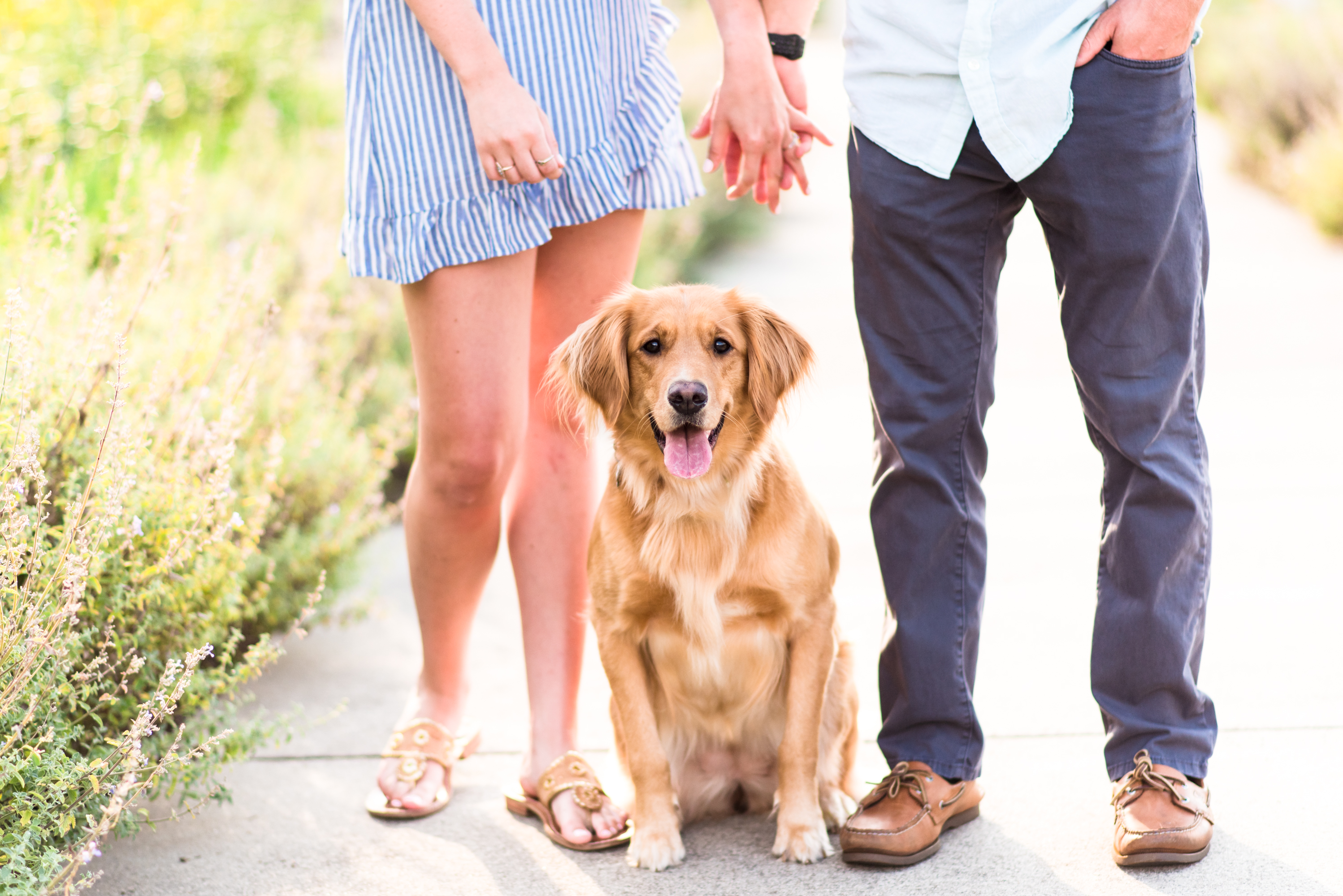 How to Include Your Dog Engagement Photos